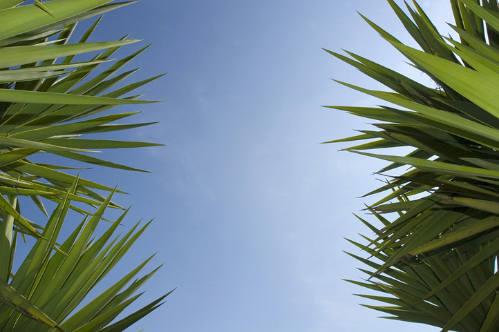 Costa del Sol over 300 days of sun per year